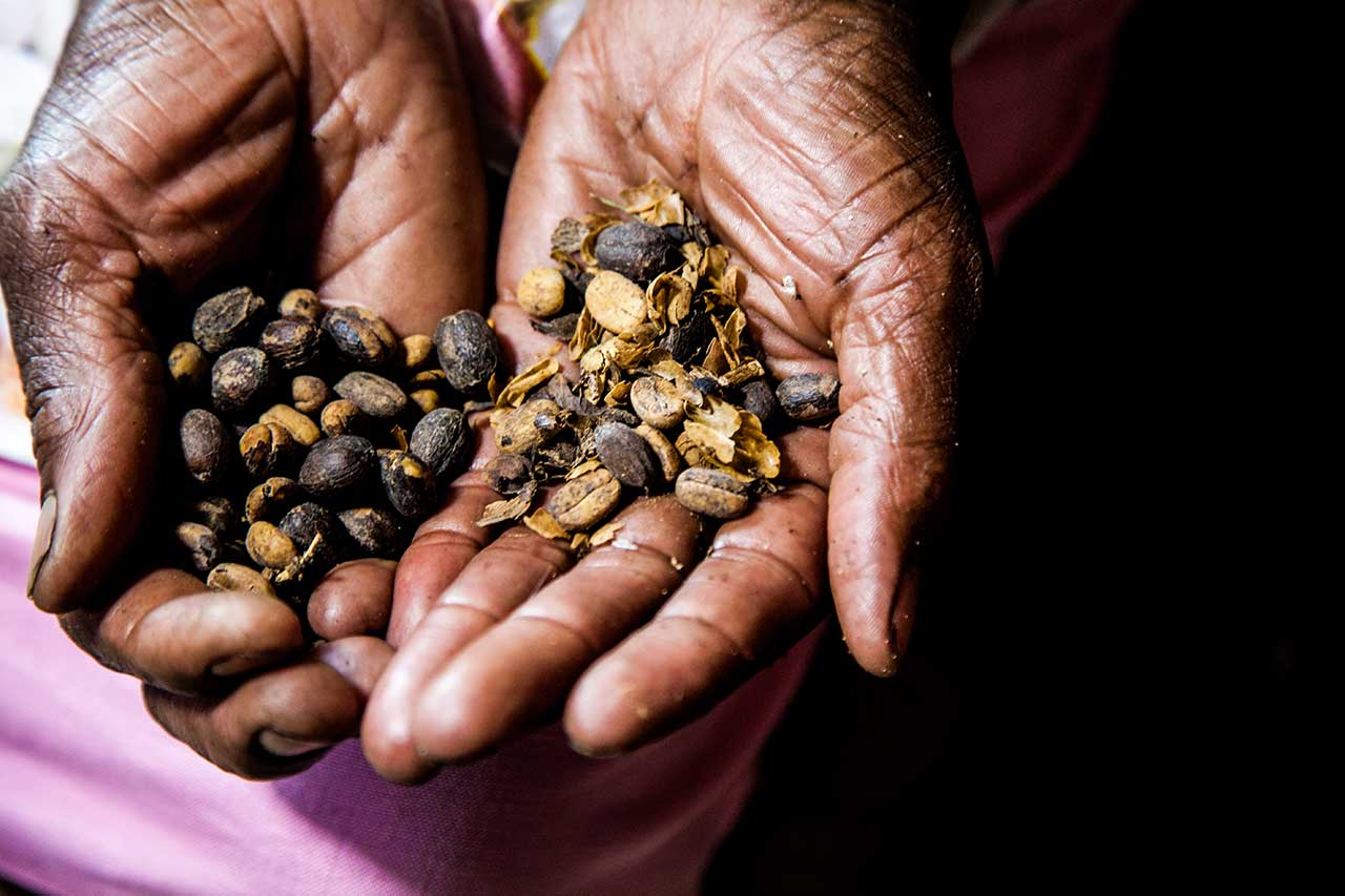 Quilombo Alto da Serra do Mar Rio Claro, Região Médio Paraíba
